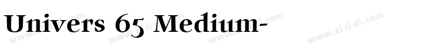 Univers 65 Medium字体转换